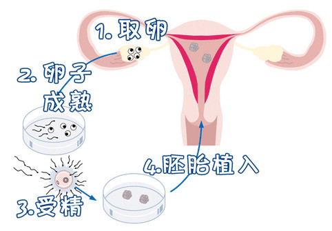 王主任